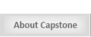 About Capstone Learning